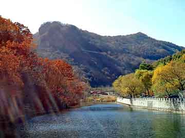 澳门天天开奖免费资料，复仇天使闯校园